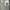 Nike Streetwear Casual Windbreaker Pria white gray photo 4