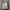 Nike Streetwear Casual Windbreaker Pria white gray photo 1