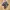 Adidas Casual Sneakers Pria multicolor photo 1