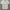 Casual Formal shirt Pria white photo 1