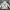 Indie Denim jacket Kids white green photo 1
