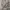 - Sorridere Label - 1x Used,