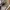 Adidas Casual Sneakers Pria multicolor photo 2