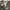 Japanese brand Streetwear Casual Vest Pria multicolor photo 5