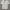 Casual Formal shirt Pria white photo 1