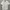 Casual Formal Shirt Pria White