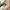 Adidas Casual Sneakers Pria multicolor photo 2