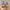 Adidas Casual Sneakers Pria multicolor photo 4