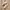 Adidas Casual Sneakers Pria multicolor photo 1