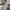 Vintage Y2K T-shirt Pria gray photo 2
