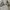 Vintage Y2K T-shirt Pria gray photo 5