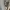 Vintage Y2K T-shirt Pria gray photo 3