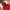 GAP Gorpcore Windbreaker Pria red photo 4