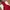 GAP Gorpcore Windbreaker Pria red photo 6
