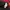 GAP Gorpcore Windbreaker Pria red photo 7