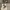 Minimalist Pria tan photo 1