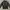Grunge Indie Windbreaker Kids black photo 3