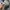 Japanese brand Gorpcore Sportswear Hat Wanita navy photo 3