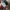 Pendleton Vintage Streetwear Hat Pria tan photo 4