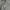 Tommy Hilfiger Streetwear Hoody Pria gray photo 3