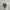 Salomon Gorpcore Indie Sneakers Pria brown gray photo 4