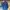 A Bathing Ape Gorpcore Casual Casual shirt Pria navy blue photo 4
