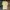 A Bathing Ape Luxury T-shirt Pria yellow photo 5