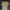A Bathing Ape Luxury T-shirt Pria yellow photo 1
