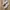 Salomon Gorpcore Casual Sneakers Pria silver white photo 1