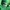 Hanes Vintage Y2K Hoody Pria green photo 3