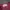 Vintage Streetwear Sweatshirt Pria burgundy photo 3