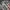 Vision Street Wear Vintage Streetwear Formal Shirt Pria Multicolor