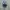 New Balance Casual Sneakers Pria black gray photo 4