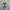 New Balance Casual Sneakers Pria green yellow photo 3