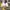 VANS Streetwear Sneakers Wanita white photo 2