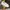 VANS Streetwear Sneakers Wanita white photo 1