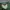 Vintage Streetwear Sweater Pria green photo 5