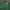 Vintage Streetwear Sweater Pria Green