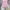 Beyond The Vines Casual Shoulder bag Wanita pink photo 4