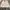 Polo Ralph Lauren Vintage Harrington jacket Pria white photo 1