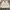 Polo Ralph Lauren Vintage Harrington Jacket Pria White