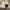 Polo Ralph Lauren Vintage Harrington jacket Pria white photo 4