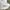 Forever 21 Sportswear Crop top Wanita white photo 3