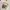 A Bathing Ape Streetwear Sweater Pria white black photo 3