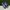 Adidas Casual Sneakers Pria white navy photo 1