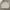 Vintage Windbreaker Pria cream photo 1
