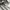 The North Face Gorpcore Sportswear Track jacket Pria gray photo 7
