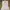 The North Face Gorpcore Sportswear Track jacket Pria gray photo 4
