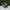 Adidas Casual Sneakers Pria white gray photo 1