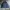 Columbia Sportswear Casual Track jacket Pria navy photo 1